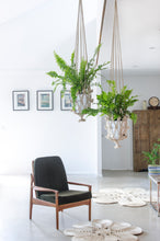 Load image into Gallery viewer, Our macrame plant hangers are designed to display your indoor plants with unique flair. flower plant hanger. jute plant hanger. macrame plant hanger. hanging plants. 
