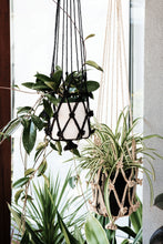 Load image into Gallery viewer, Our macrame plant hangers are designed to display your indoor plants with unique flair. flower plant hanger. jute plant hanger. macrame plant hanger. hanging plants. black plant hanger.
