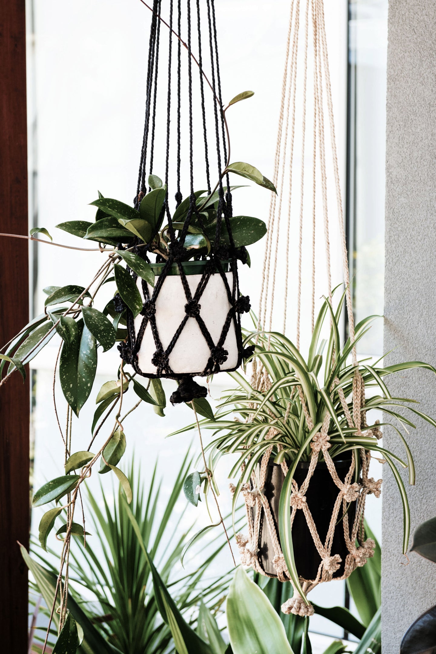 Our macrame plant hangers are designed to display your indoor plants with unique flair. flower plant hanger. jute plant hanger. macrame plant hanger. hanging plants. black plant hanger.