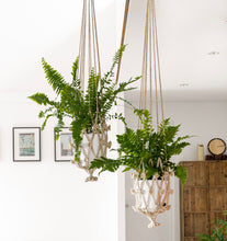 Load image into Gallery viewer, Flower Sika Plant Hanger Large
